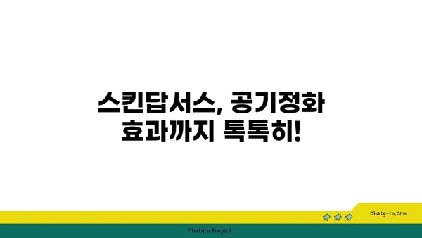 스킨답서스 키우기 완벽 가이드| 잎꽂이부터 물꽂이까지 | 스킨답서스, 식물 키우기, 잎꽂이, 물꽂이, 번식