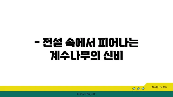 계수나무의 매력|  꽃, 열매, 그리고 전설 | 계수나무, 나무 정보, 전설, 민속