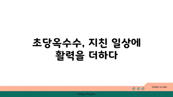 초당옥수수| 에너지 충전의 비밀 | 달콤한 맛, 건강한 에너지