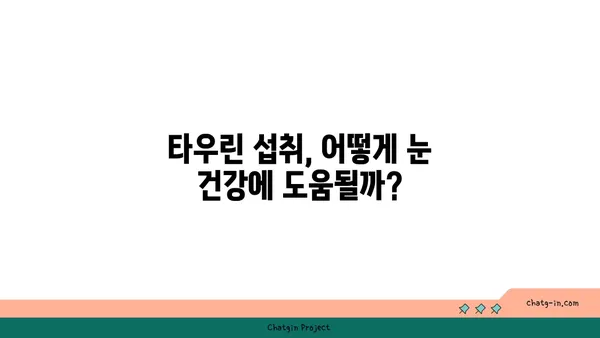 타우린의 눈 건강 효과| 시력 보호와 개선을 위한 필수 영양소 | 타우린, 눈 건강, 시력 개선, 영양소