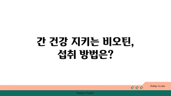 비오틴으로 간 건강 지키기| 간 기능 개선을 위한 비오틴 활용법 | 비오틴, 간 건강, 간 기능 개선, 영양소