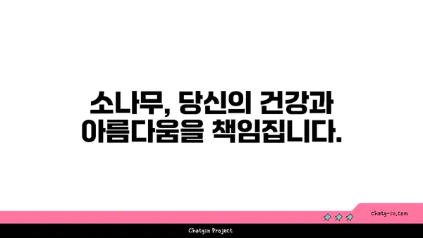 소나무의 놀라운 효능과 활용법| 건강, 미용, 환경까지! | 소나무 효능, 소나무 활용, 소나무 차, 소나무 솔잎