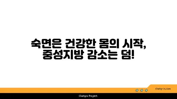 숙면이 중성지방을 줄인다? 잠과 건강의 놀라운 연결 | 수면, 중성지방, 건강, 팁, 가이드