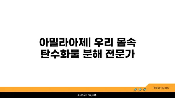 아밀라아제의 모든 것| 소화 효소의 역할, 작용 메커니즘, 그리고 부족 증상 | 소화, 효소, 건강