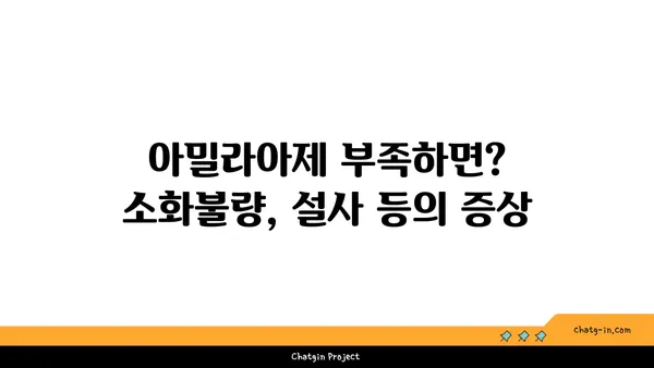 아밀라아제의 모든 것| 소화 효소의 역할, 작용 메커니즘, 그리고 부족 증상 | 소화, 효소, 건강