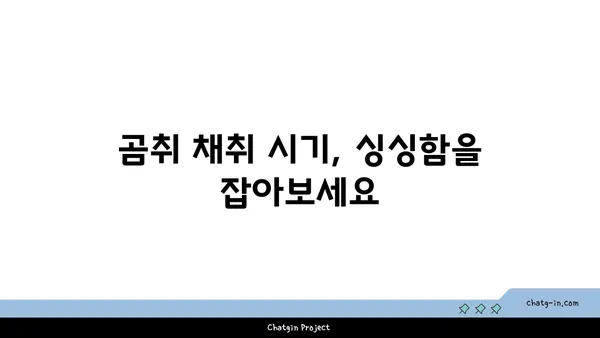 곰취, 제대로 알고 먹자! | 곰취 효능, 곰취 종류, 곰취 요리법, 곰취 채취 시기