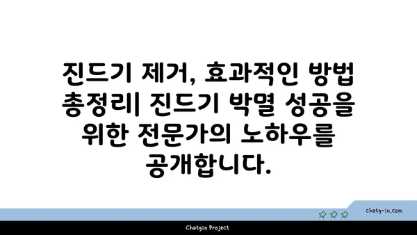 진드기 박멸 완벽 가이드| 종류별 특징 & 효과적인 제거 방법 | 진드기, 진드기 제거, 진드기 종류, 진드기 박멸