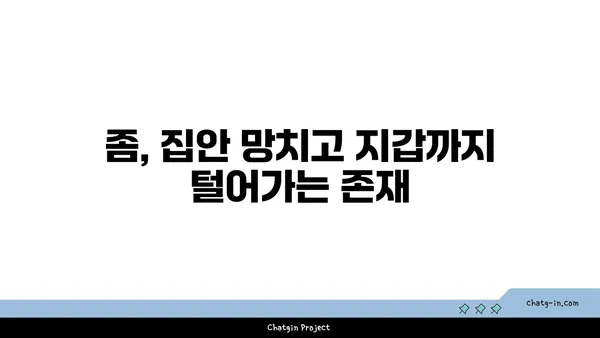 좀 때문에 망가지는 내 지갑| 숨겨진 비용 폭로 | 좀, 집안, 재정, 손상, 비용, 해결