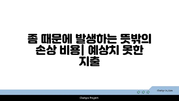 좀 때문에 망가지는 내 지갑| 숨겨진 비용 폭로 | 좀, 집안, 재정, 손상, 비용, 해결