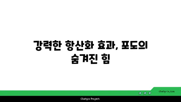 포도의 놀라운 효능과 영양 가치 | 건강, 다이어트, 항산화, 폴리페놀