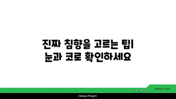 침향 수집| 향기로운 모험의 길 따라가기 | 침향, 수집, 가이드, 정보, 팁