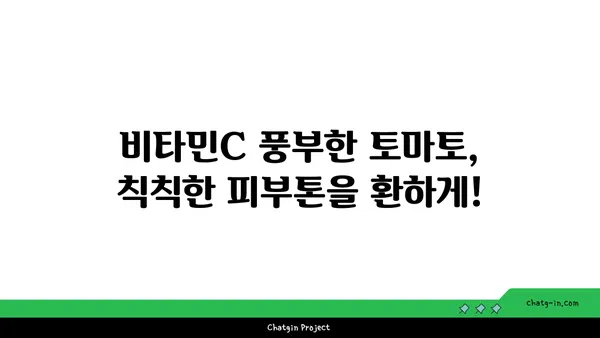 토마토의 놀라운 효능! 피부 건강을 위한 비밀 | 토마토, 피부 미용, 항산화, 비타민C