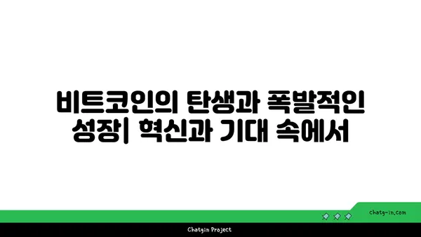 비트코인, 롤러코스터를 타다| 흥망성쇠의 역사적 기록 | 암호화폐, 투자, 거품, 붕괴