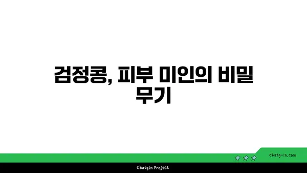 검정콩의 과학적 경이| 건강한 피부와 두발을 위한 영양 솔루션 | 검정콩 효능, 피부 건강, 모발 관리, 영양 섭취