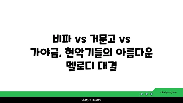 비파, 다른 현악기와의 만남| 연주법 비교 연구 | 전통 악기, 비파 연주, 현악기 비교