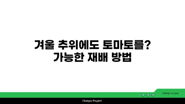 겨울철에도 싱싱한 토마토를? 꿀팁 가득한 재배 가이드 | 토마토, 겨울 재배, 온실 재배, 베란다 재배