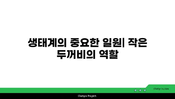 작은두꺼비의 놀라운 변신| 올챙이에서 성체까지 | 두꺼비, 양서류, 성장 과정, 생태