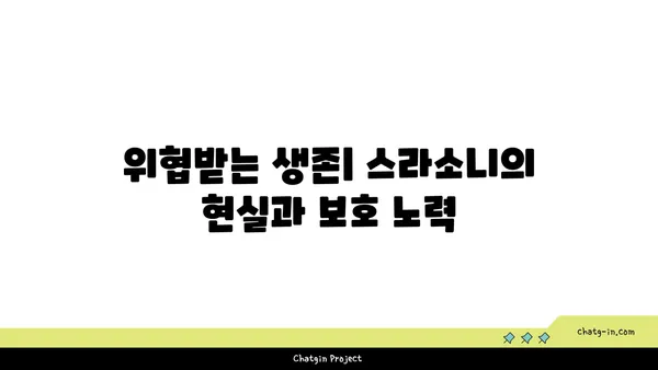 스페인 스라소니| 매혹적인 야생 고양이의 모든 것 | 스라소니, 스페인 야생 동물, 야생 고양이, 서식지, 생태