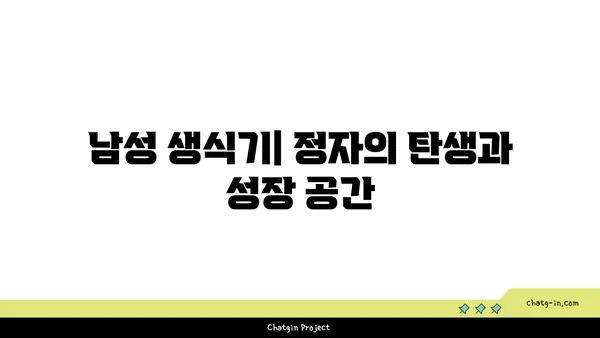 정자의 역할과 기능| 생명 탄생의 비밀  | 생식, 수정, 남성 생식기, 정자 생성