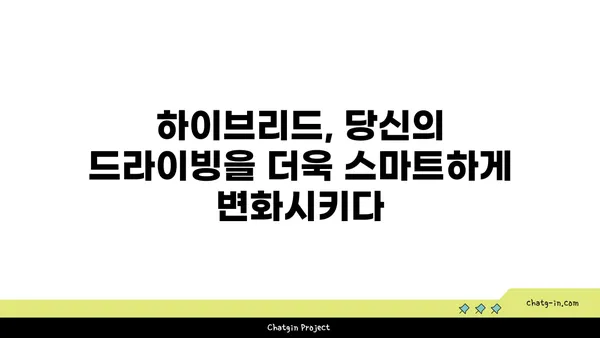 하이브리드 자동차 편견, 이제는 깨부숴! | 장점과 효율성, 실제 주행 경험 공유