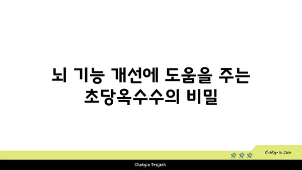 초당옥수수의 신경 보호 효능| 과학적 근거와 잠재적 이점 | 뇌 건강, 항산화, 신경세포 보호, 연구 결과