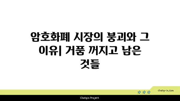 비트코인, 롤러코스터를 타다| 흥망성쇠의 역사적 기록 | 암호화폐, 투자, 거품, 붕괴