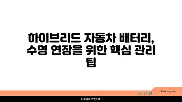 하이브리드 자동차 배터리 수명 연장| 관리 팁 & 주의 사항 | 하이브리드, 배터리 관리, 수명, 팁, 주의사항