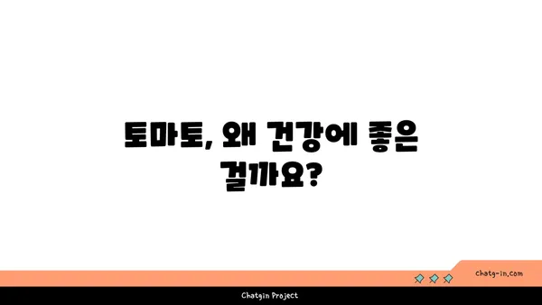 토마토의 놀라운 건강 효능| 7가지 이유와 건강하게 즐기는 방법 | 토마토 효능, 건강 식단, 항산화 효과, 비타민C