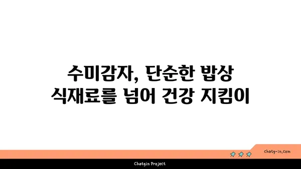 수미감자 속 놀라운 비밀| 생리 활성 화합물의 효능과 활용 | 건강, 식품, 기능성, 항산화, 항염증