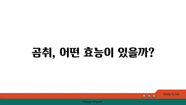 곰취, 제대로 알고 먹자! | 곰취 효능, 곰취 종류, 곰취 요리법, 곰취 채취 시기