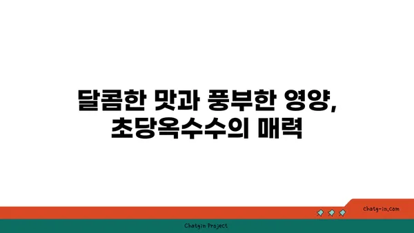 초당옥수수| 건강 식습관의 필수 요소 | 영양, 효능, 레시피, 섭취 방법