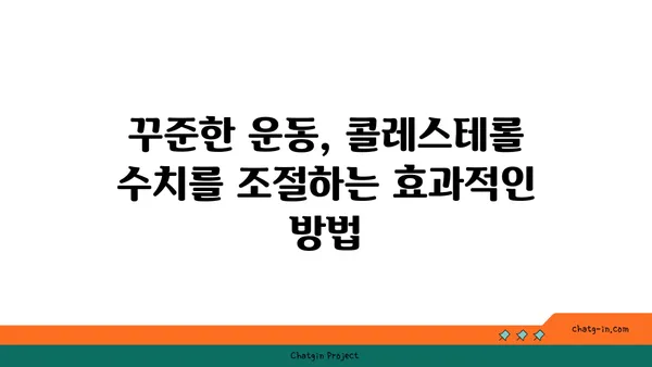 콜레스테롤 수치 컨트롤, 3가지 기본 습관으로 시작하세요! | 건강, 식단, 운동, 관리