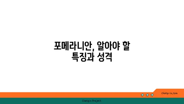 포메라니안 입양 가이드| 건강하고 행복한 삶을 위한 완벽한 준비 | 포메라니안 분양, 포메라니안 특징, 포메라니안 키우기