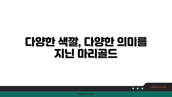 마리골드 꽃말과 전설| 행복을 부르는 꽃의 의미 | 마리골드, 꽃말, 전설, 행복, 의미, 기원