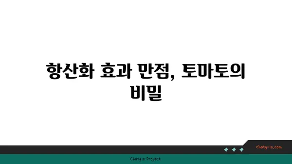 토마토의 놀라운 건강 효능| 7가지 이유와 건강하게 즐기는 방법 | 토마토 효능, 건강 식단, 항산화 효과, 비타민C