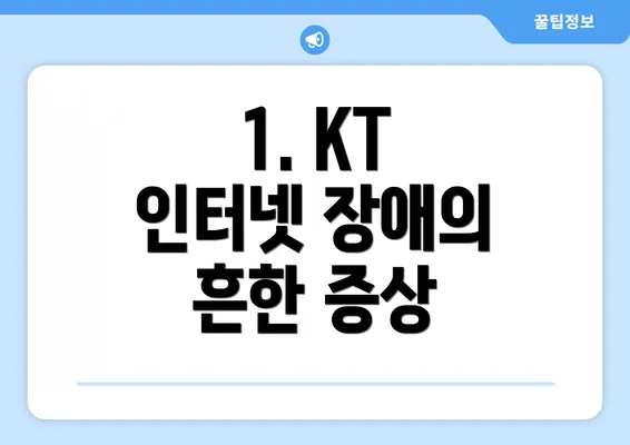 1. KT 인터넷 장애의 흔한 증상