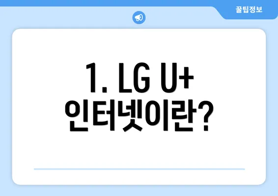 1. LG U+ 인터넷이란?