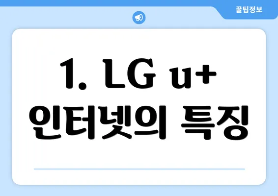 1. LG u+ 인터넷의 특징