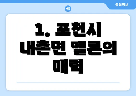 1. 포천시 내촌면 멜론의 매력