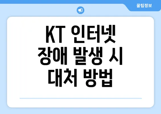 KT 인터넷 장애 발생 시 대처 방법