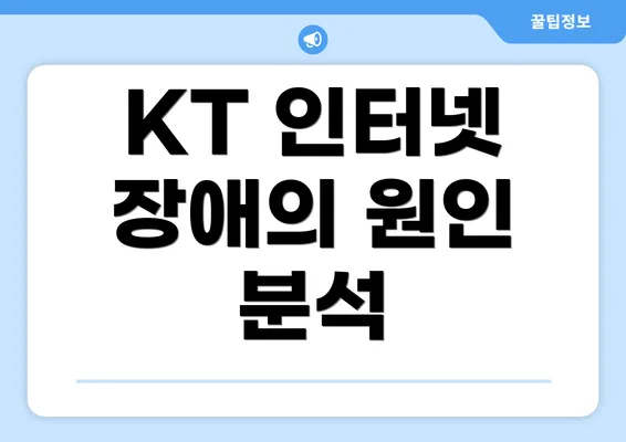 KT 인터넷 장애의 원인 분석