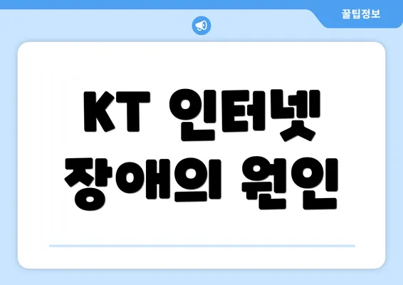 KT 인터넷 장애의 원인