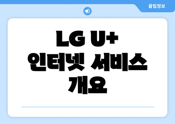 LG U+ 인터넷 서비스 개요