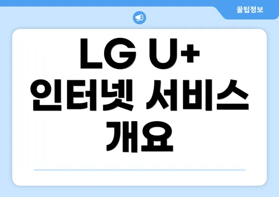 LG U+ 인터넷 서비스 개요