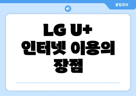 LG U+ 인터넷 이용의 장점