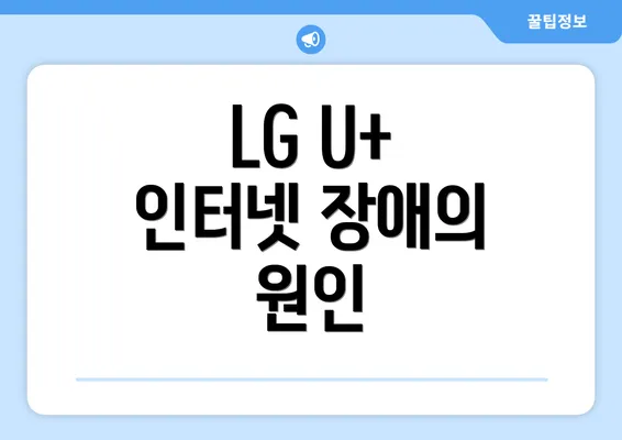 LG U+ 인터넷 장애의 원인