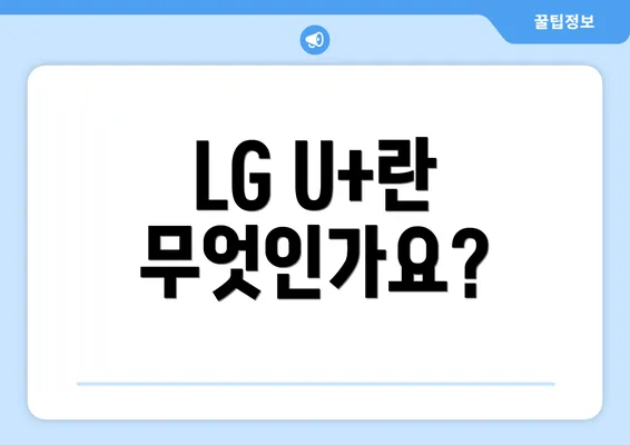 LG U+란 무엇인가요?