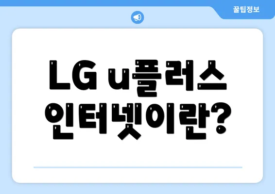 LG u플러스 인터넷이란?