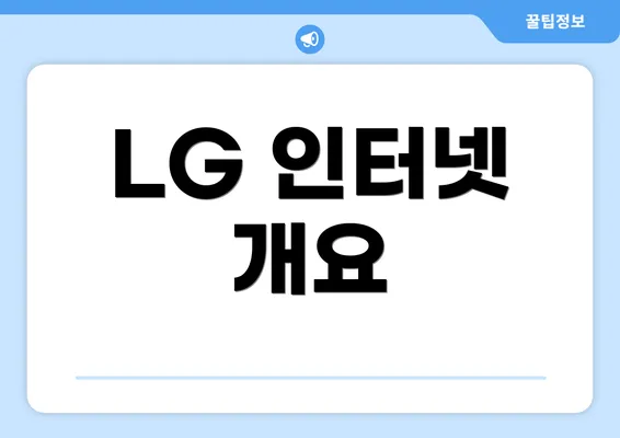 LG 인터넷 개요