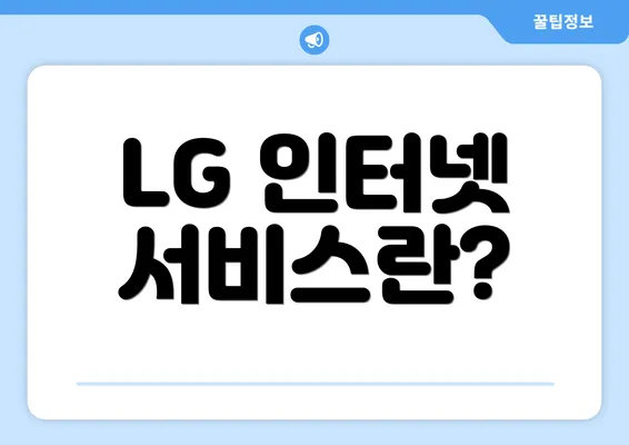 LG 인터넷 서비스란?